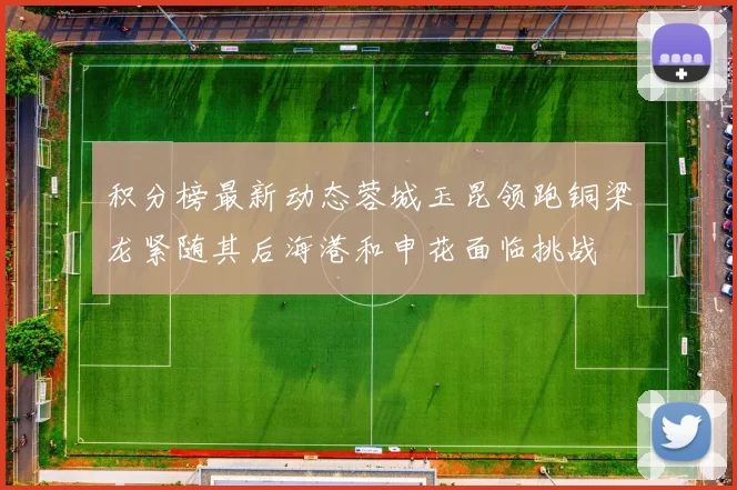 积分榜最新动态蓉城玉昆领跑铜梁龙紧随其后海港和申花面临挑战