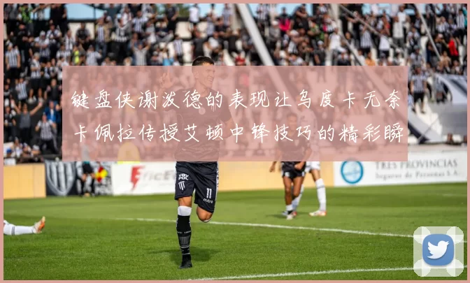 键盘侠谢泼德的表现让乌度卡无奈卡佩拉传授艾顿中锋技巧的精彩瞬间
